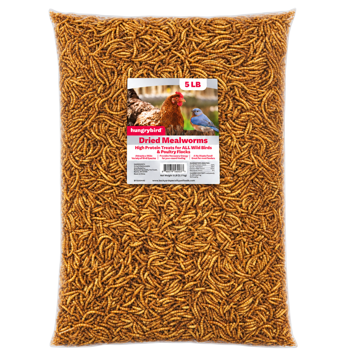 Hungrybird Dried Mealworms 5 lb bag — high-protein bird food for bluebirds and songbirds | Liberty Farm, Home &amp; Garden