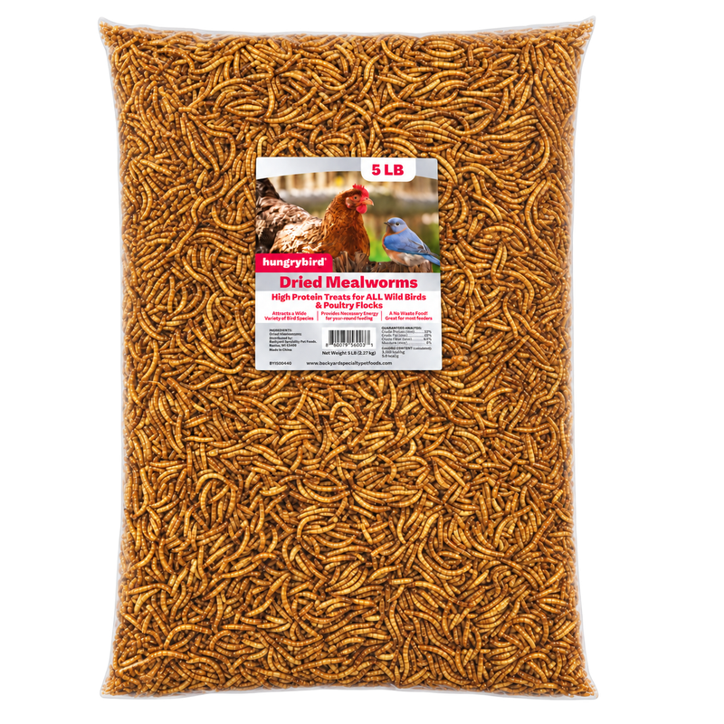 Hungrybird Dried Mealworms 5 lb bag — high-protein bird food for bluebirds and songbirds | Liberty Farm, Home &amp; Garden