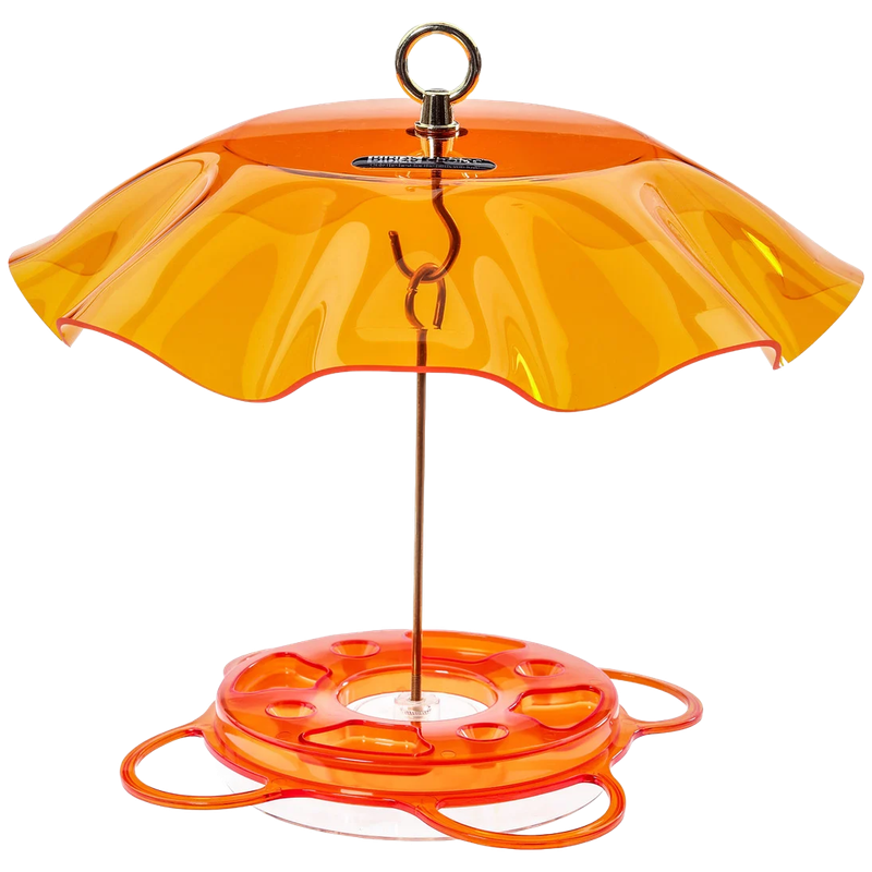 Bird's Choice Oriole Feeder w/ Protect Weatherguard (12 oz Capacity)