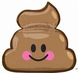 "25"" EMOTICON POOP SHP - PKG"