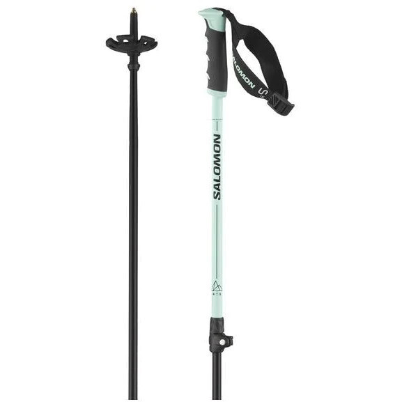 Alpine Ski Pole MTN Alu S3