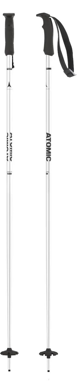 AMT ski pole