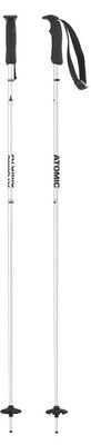 AMT ski pole