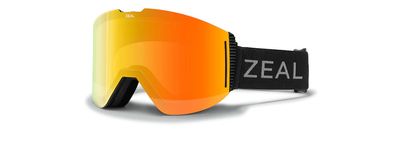 Lookout Ski Goggles