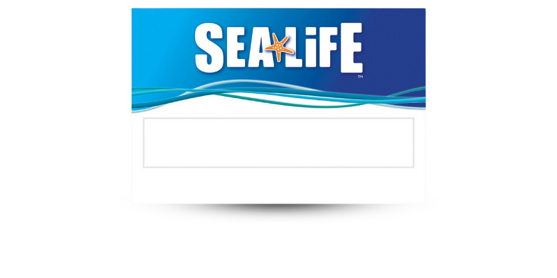 2" x 3" Reusable Plastic Window Style Name Tag