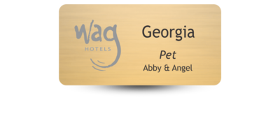 Metal Magnet Name Tag 1.5 Metal Magnet Name Tag 1.5" x 3"