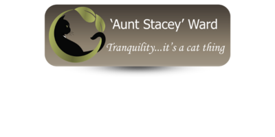 1 1" x 3" Veterinary Office Name Tags