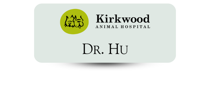 1 1/4" x 3" Veterinary Office Name Tags