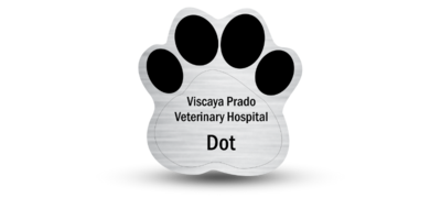 Paw Shaped Veterinary Office Name Tags Paw Shaped Veterinary Office Name Tags