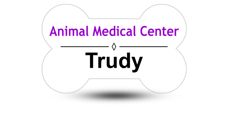 Bone Shaped Veterinary Office Name Tags