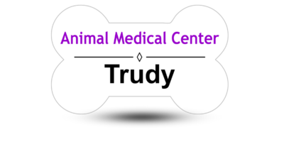 Bone Shaped Veterinary Office Name Tags Bone Shaped Veterinary Office Name Tags