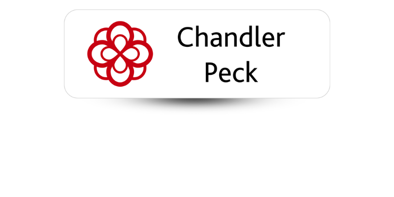 1" x 3" Alpha Omicron Pi Name Tag - Part #388