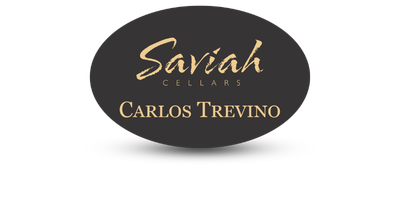 Oval Metal Name Tag With Color Logo Printing