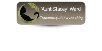 1" x 3" Veterinary Office Name Tags