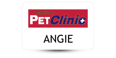 2" x 3" Veterinary Office Name Tags