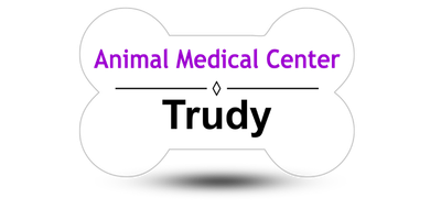 Bone Shaped Veterinary Office Name Tags Bone Shaped Veterinary Office Name Tags