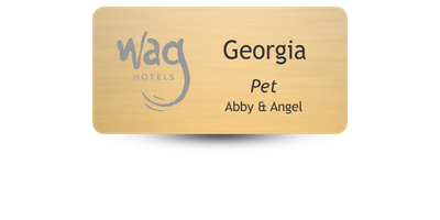 Metal Magnet Name Tag 1.5 Metal Magnet Name Tag 1.5" x 3"