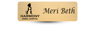 Custom Size Veterinary Office Name Tags