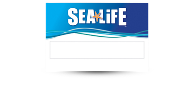 2" x 3" Reusable Plastic Window Style Name Tag