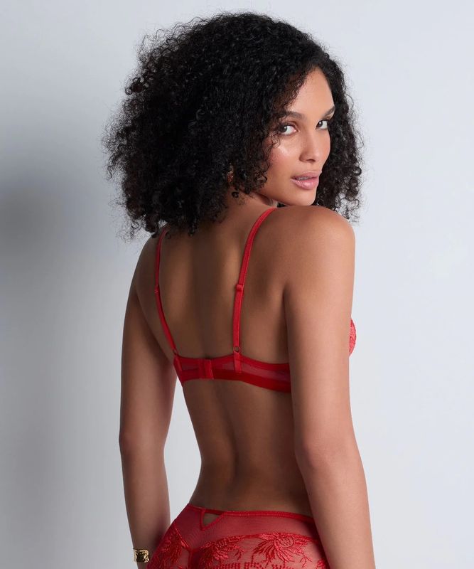 Rules of Attraction  Cheeky Brief