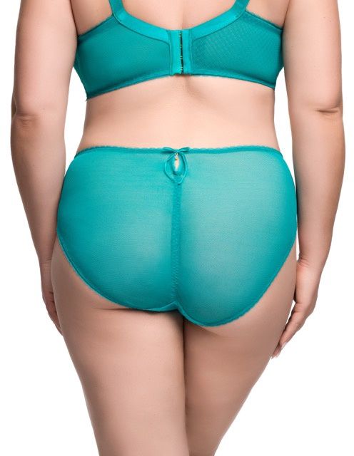 Zsa Zsa Hi Cut Brief