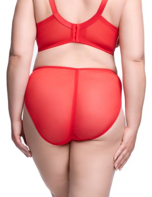 Nom de Plume Hi Cut Brief
