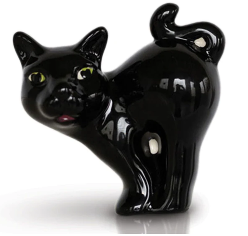 NF Mini A419 Cat