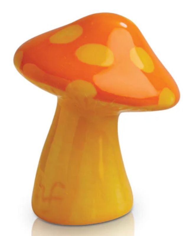 NF Mini A262 Funky Fungi