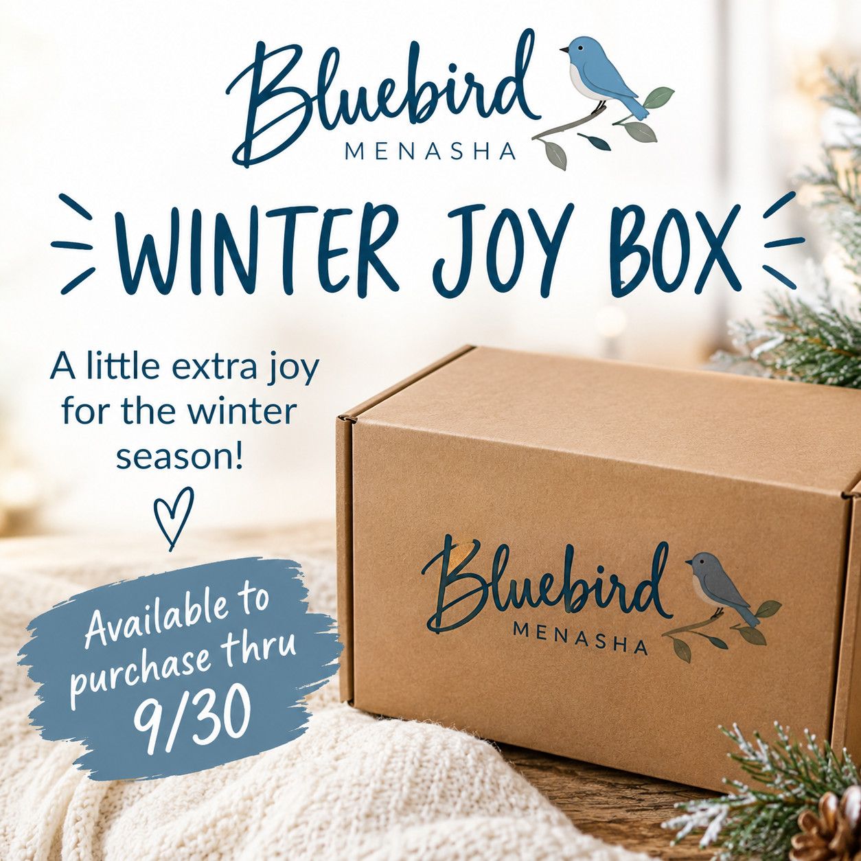 Winter Joy Box