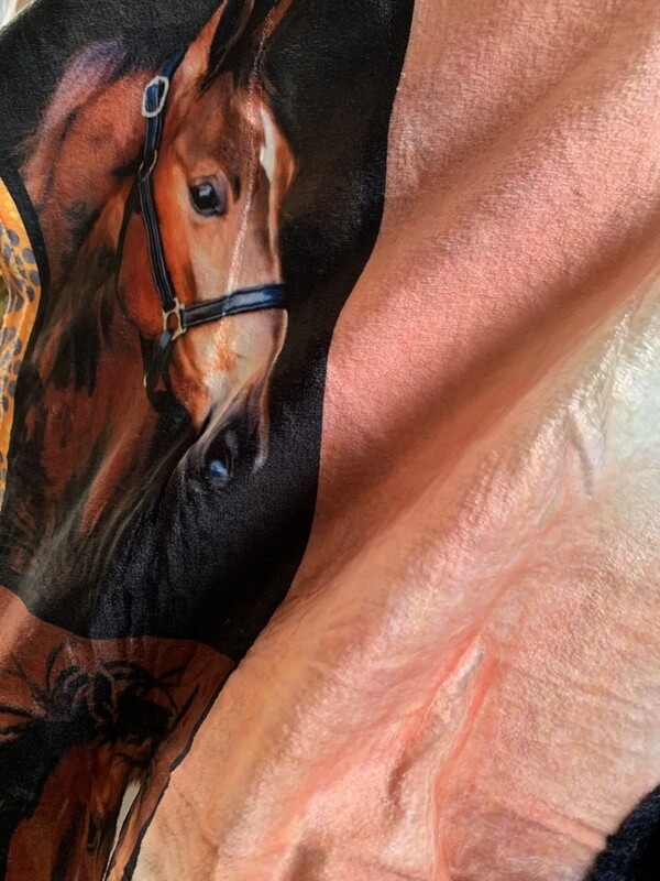 Horse Blanket