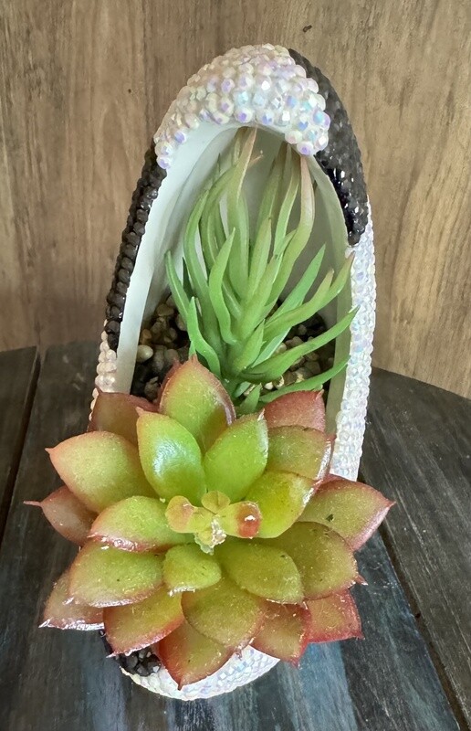 Cactus Moon Sparkle