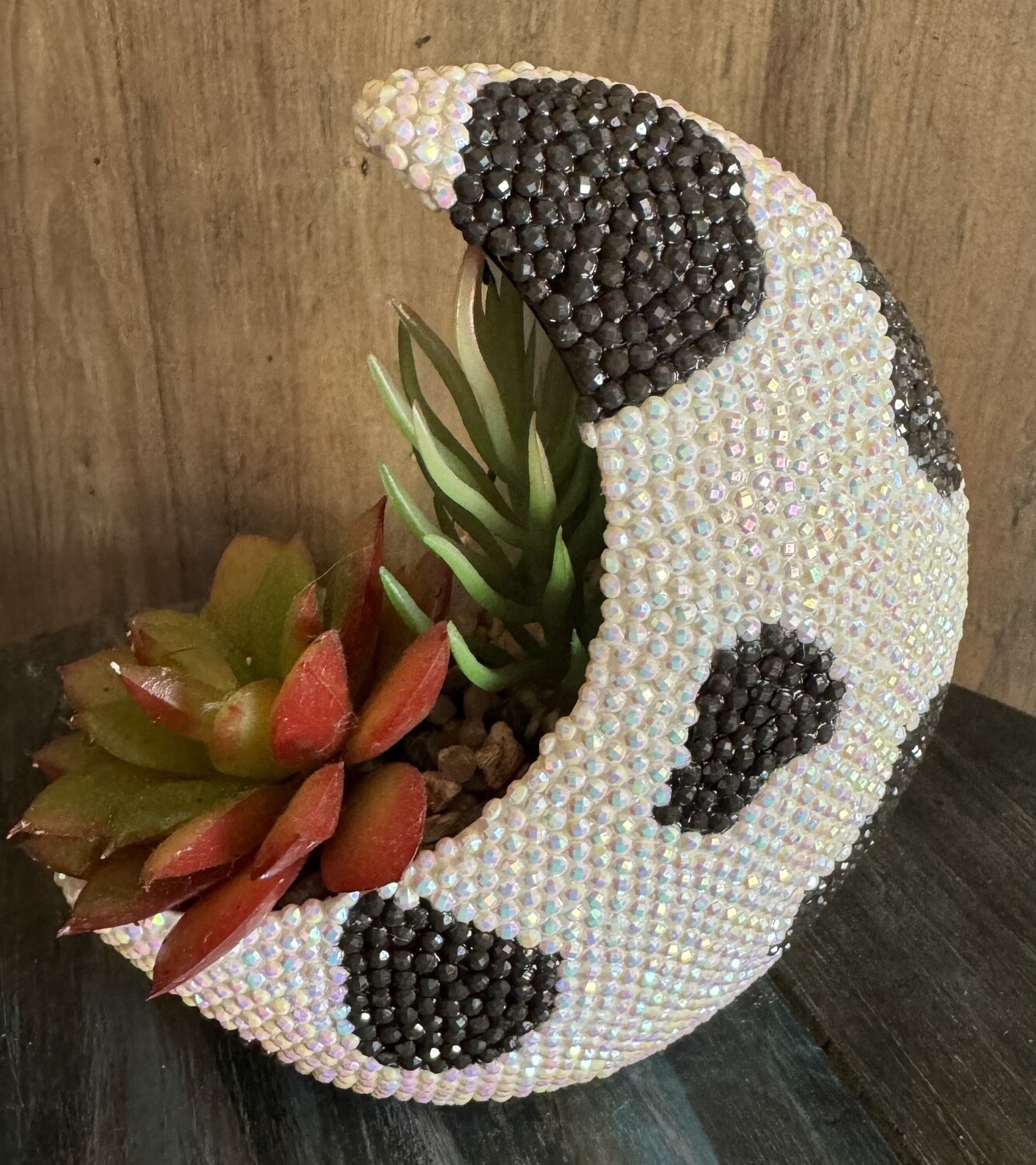 Cactus Moon Sparkle