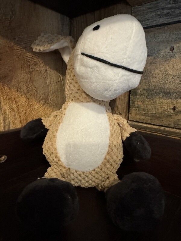 Happy Donkey