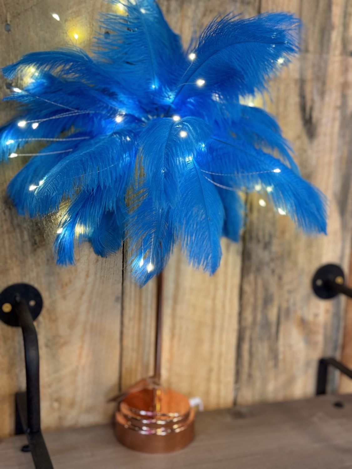 Feather Lamp