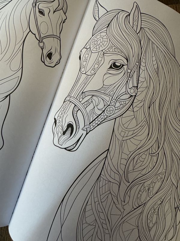 Horse Tales Coloring Book