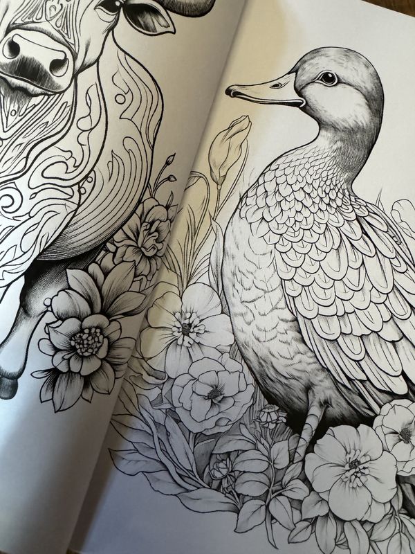 Farm Animals Coloring Book