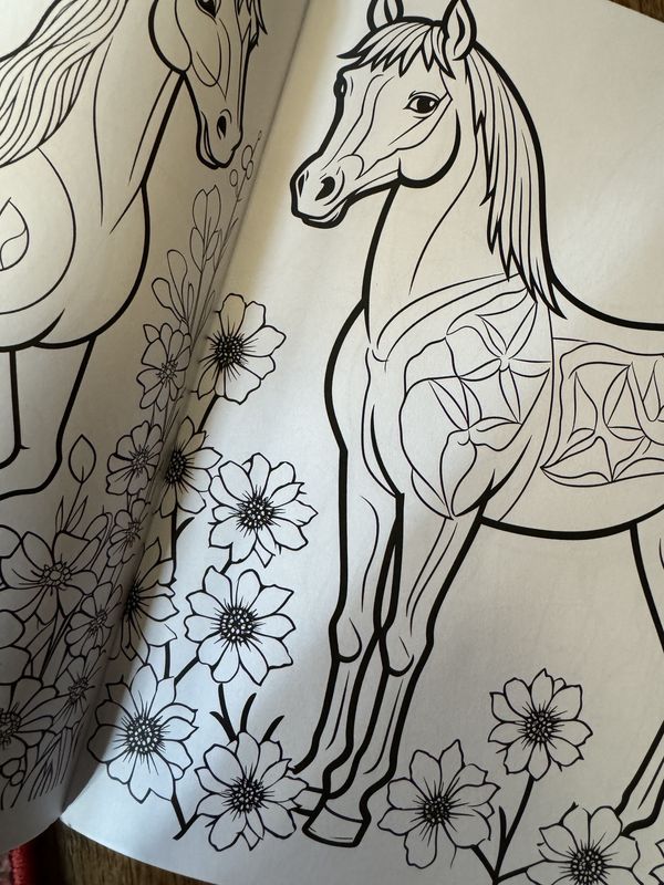 Athletic Horse Coloring Book