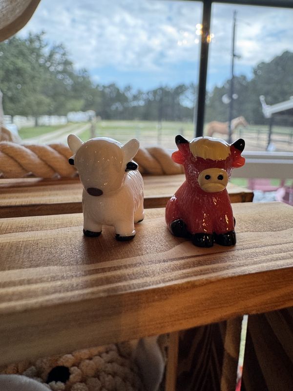 Mini Miniature Cow