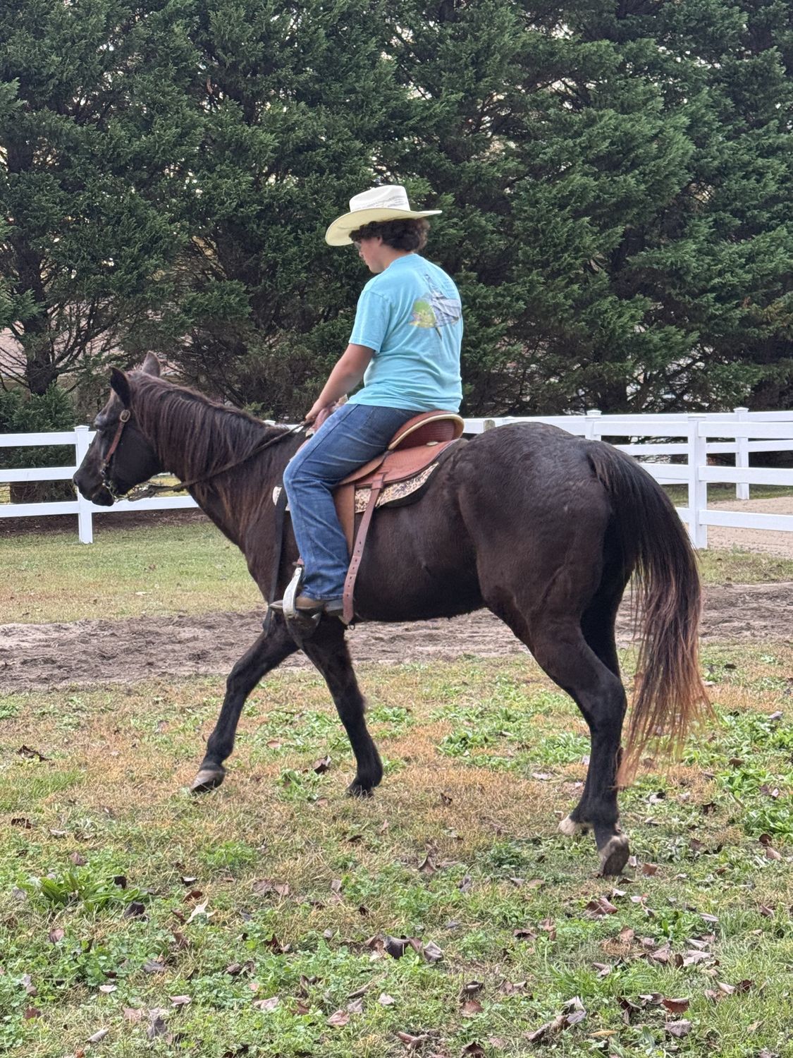 Giddy-Up Kids