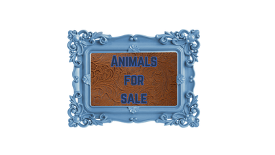 Animals For Sale