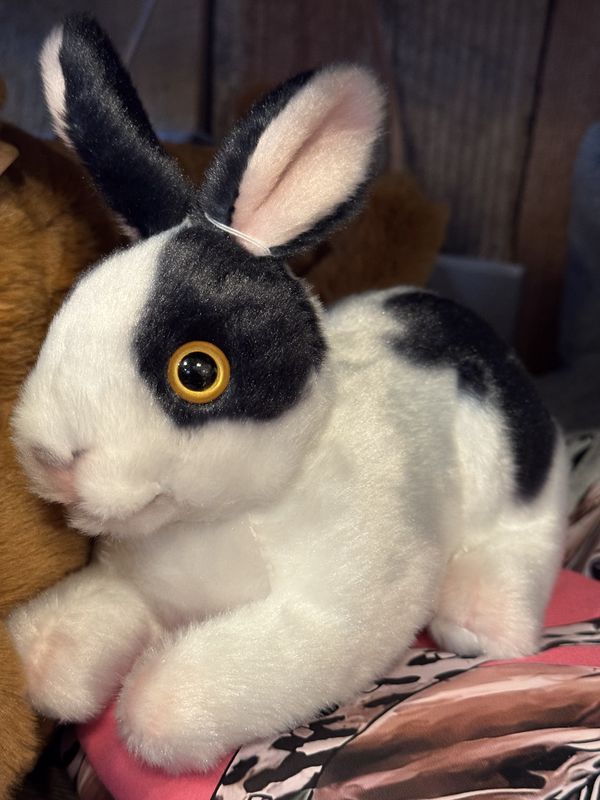 Cutesy Bunny
