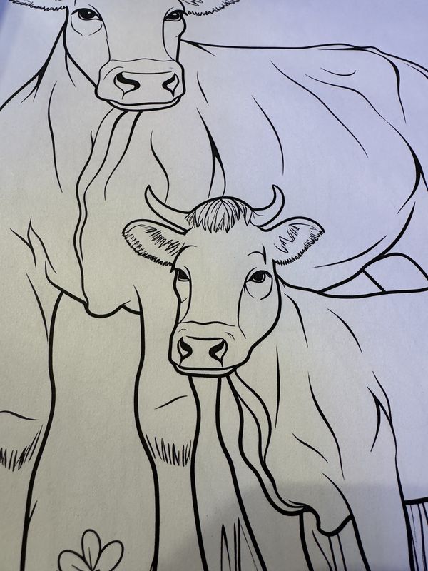 Farm Style Coloring Book