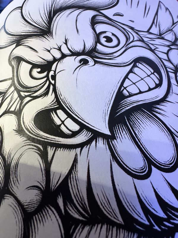 Crazy Chicken Coloring Book
