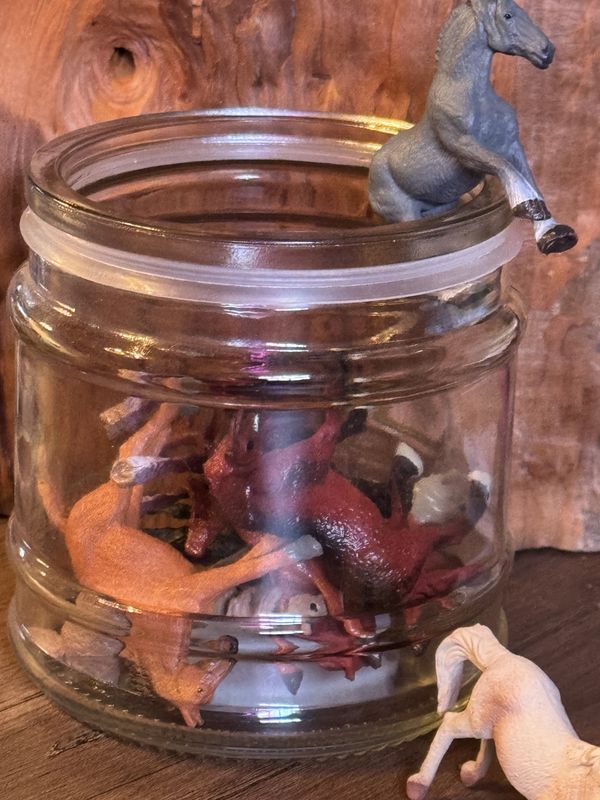 Mini Horse Figurines