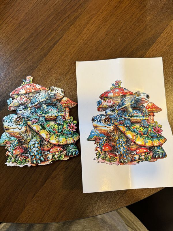 Turtle Pouch Puzzle