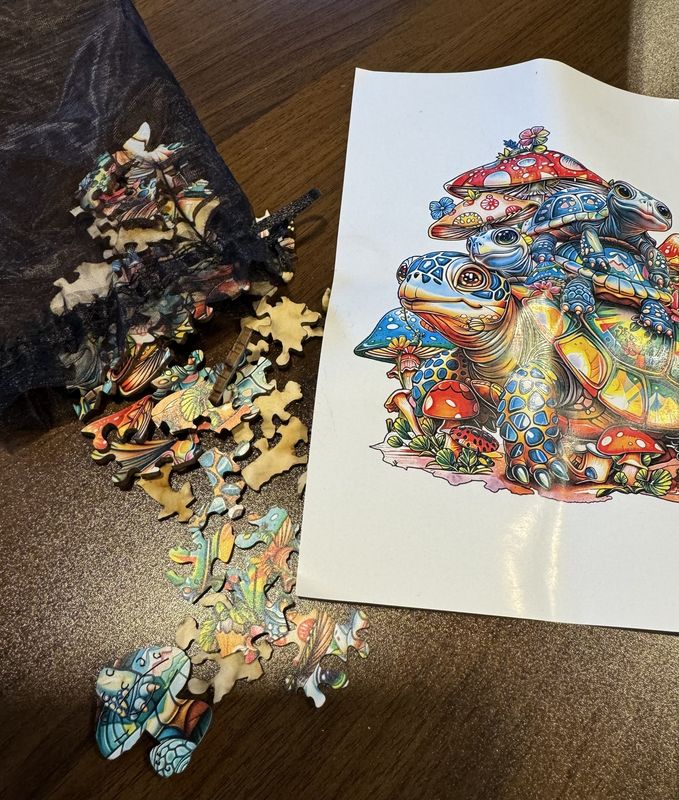Turtle Pouch Puzzle