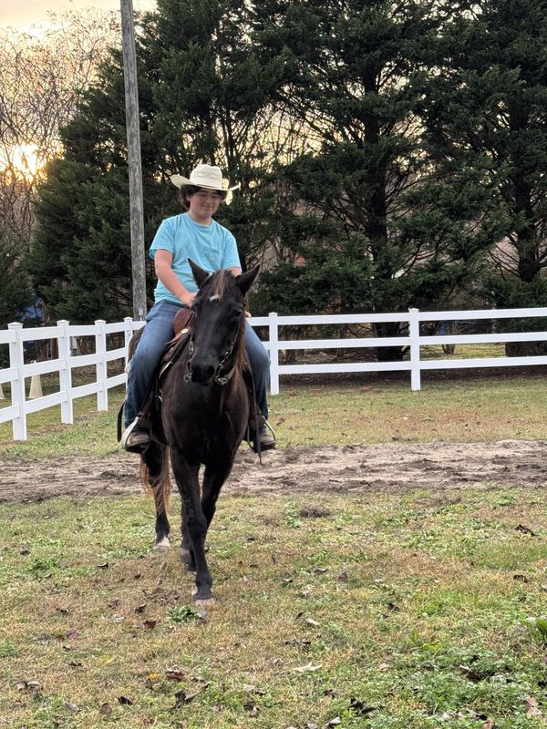 Western Horseback Riding Lessons