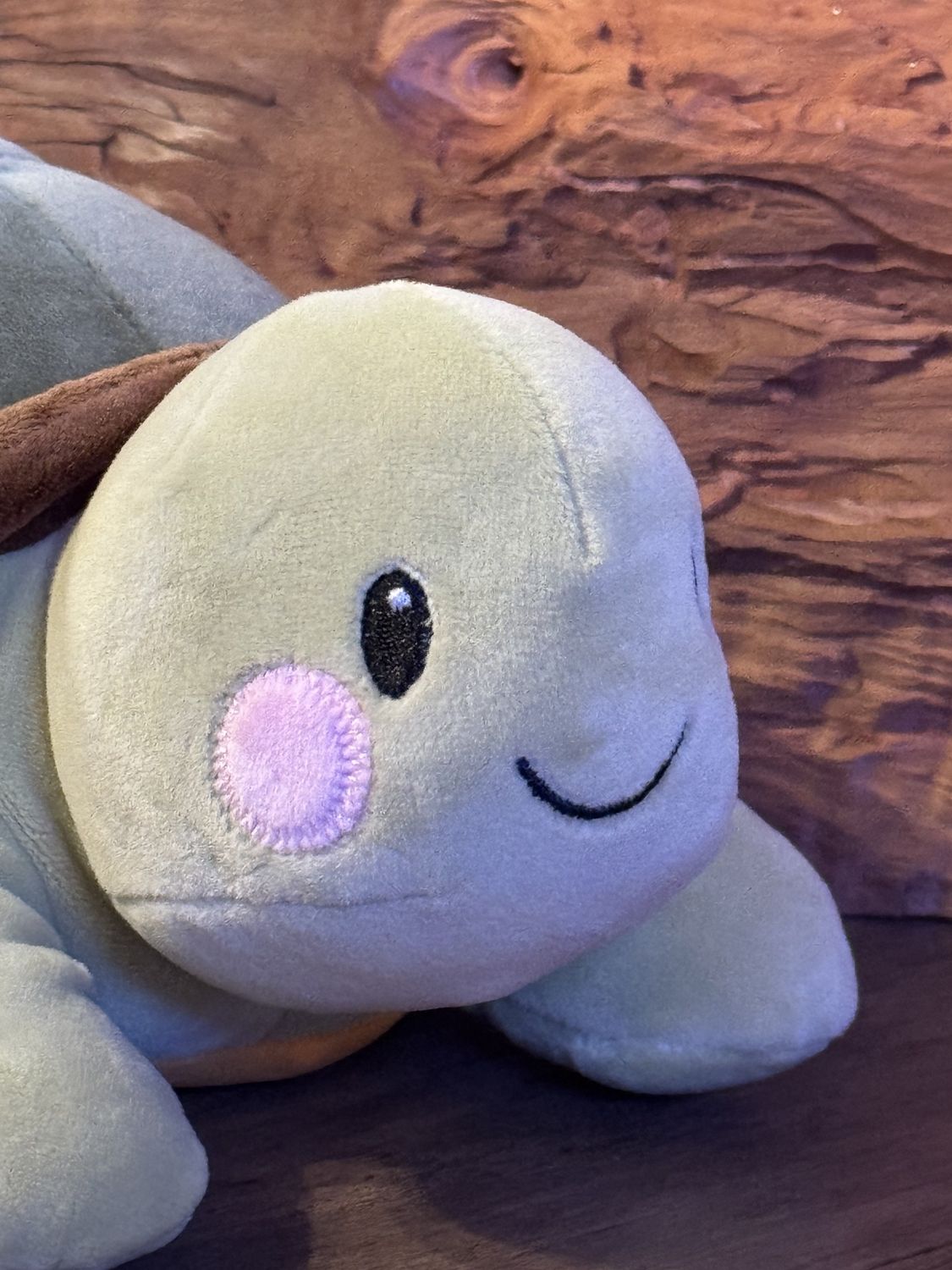 Franklin the Turtle