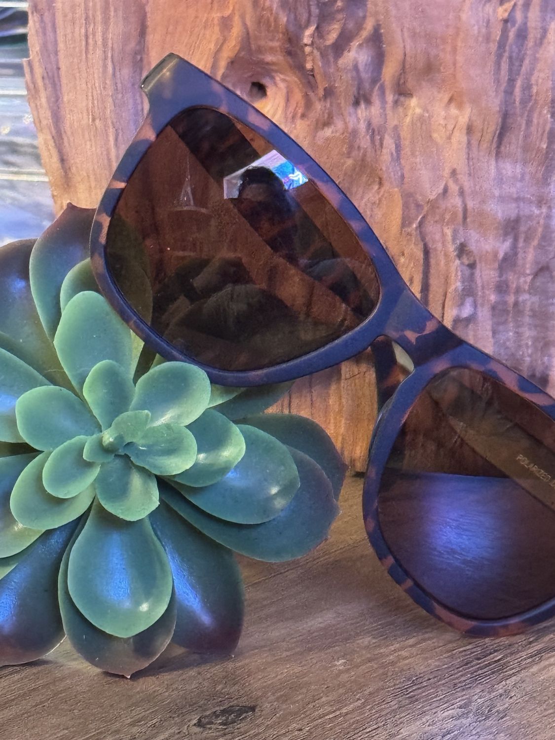 Leopard Sunglasses