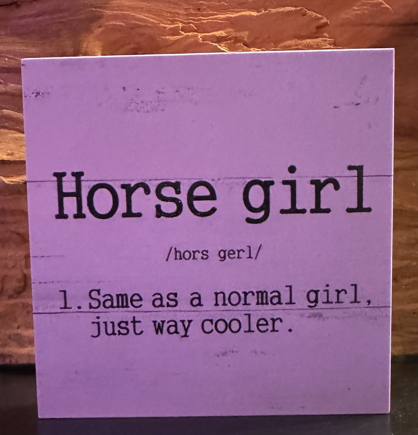 “Horse Girl” Definition Plaque – Western Decor for Horse Lovers